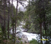 2016 07 11 Montana Scenery 002